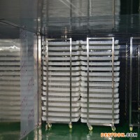 蚊香烘干机 盘香烘干房 热风循环烘箱 烘干机厂家