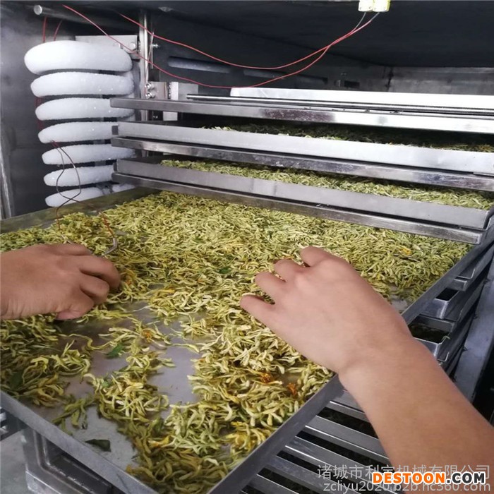 药材低温冻干机 灵芝真空冻干设备 香菜低温干燥机图1