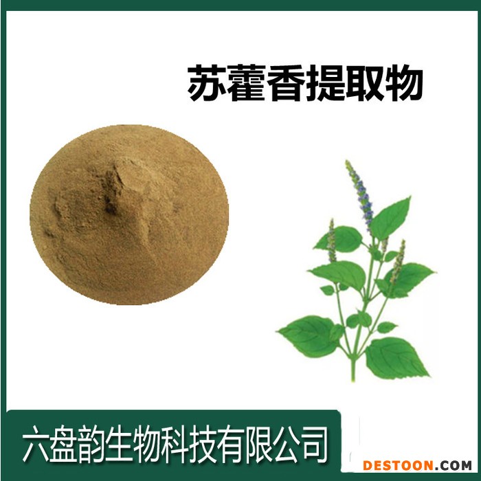 六盘韵 排香草提取物可溶  排香草浓缩粉批发 排香草厂家包邮