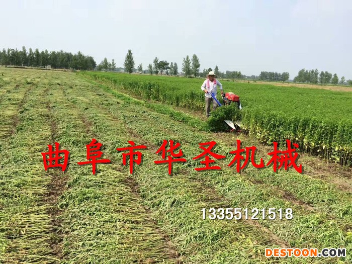 收割香紫苏厂家 小型香紫苏割晒机 自走式香料收割机
