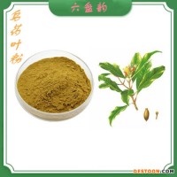 狭基线纹香茶菜提取物 比例浓缩萃取 资质齐全 可代工