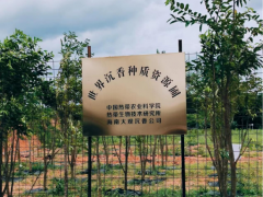 世界沉香种质资源圃已在海南初步建成