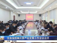 惠东全县绿棋楠沉香产业发展工作会议召开