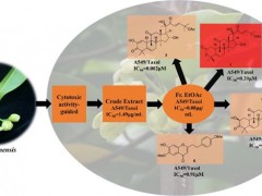 重大发现｜中科院王跃虎团队从沉香花中发现抗癌活性分子