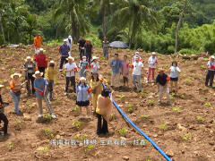 诚香银航沉香森林第十六届植树节活动成功举办