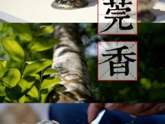 氤氲莞香 夏日悠长 氤氲缭绕上千年