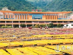 永春达埔｜打响“香品牌” 建“站前新城”