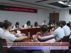 电白区沉香产业空间布局规划工作座谈会召开