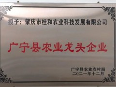 直播带货＋线上销售，五和沉香茶走出乡村振兴新路径
