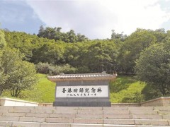 25年前种下的1997棵土沉香木已根深叶茂!深港植树人重访香港回归纪念林