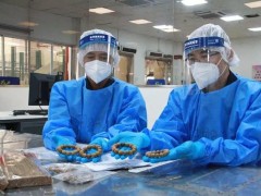 沉香手链“不香”！广州海关查获6件濒危植物沉香木制品