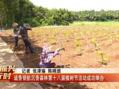诚香银航沉香森林第十八届植树节活动成功举办