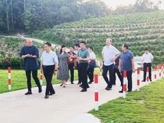 江西省副省长殷美根一行莅临海南大观沉香公司考察指导