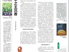 海南周刊丨香中之王沉香