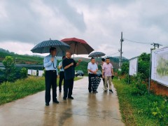 海南省政协副主席、民革海南省委主委陈马林到海南大观沉香公司琼中基地调研