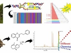 魏建和研究团队揭示奇楠生物学本质，推动奇楠沉香开发利用