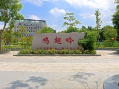 东莞大岭山鸡翅岭村｜以香立村，“香”村展新颜
