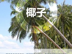 海南省第八次党代会报告提出“六棵树”下有“黄金”